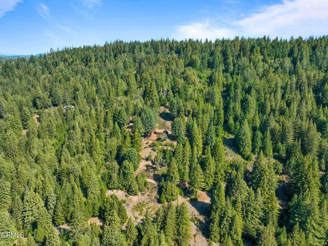 Detail Gallery Image 37 of 37 For 19200 Tramway, Navarro,  CA 95463 - 3 Beds | 2 Baths