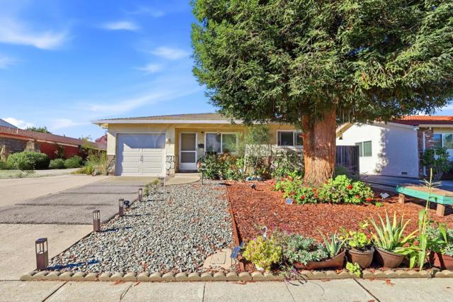 457 Carneros Avenue, Sunnyvale CA: https://media.crmls.org/mediaz/6a696d2a-3066-4901-9b07-0eec622ec1ab.jpg
