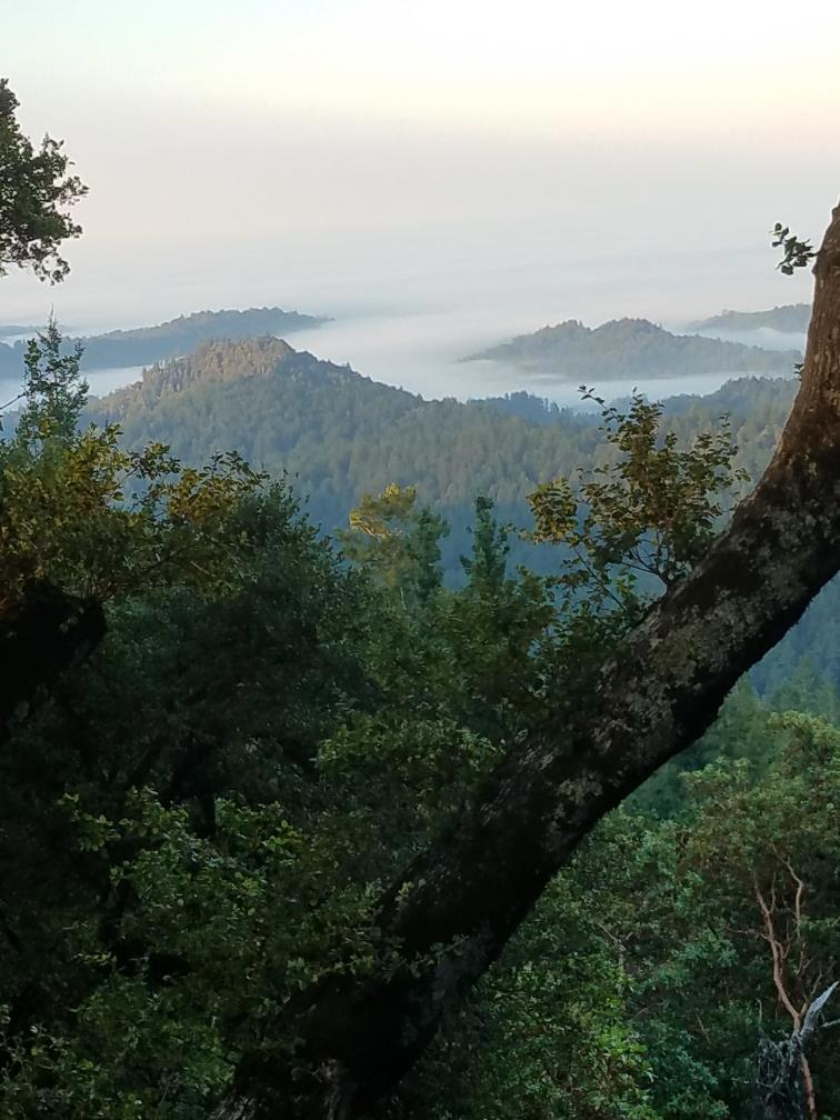 https://media.crmls.org/mediaz/6a7df40d-97b6-4371-a858-f41a6ee0cb97.jpg?preset=X-Large