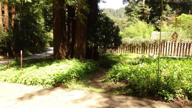 MLS #ML82014848 image #32