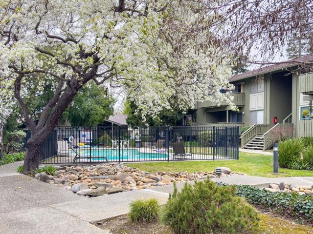 50 E Middlefield Road, Mountain View CA: https://media.crmls.org/mediaz/6a87904f-dc50-456c-b3da-ffc5bafa2458.jpg