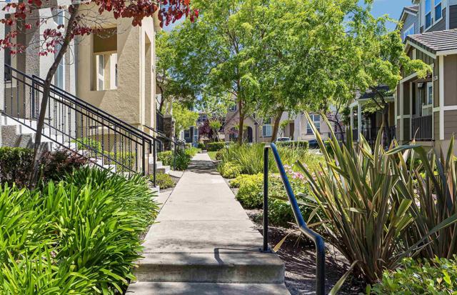 6268 Byron Ln, San Ramon CA: https://media.crmls.org/mediaz/6a8e0c74-578e-42db-a6fa-c2ec8463386e.jpg
