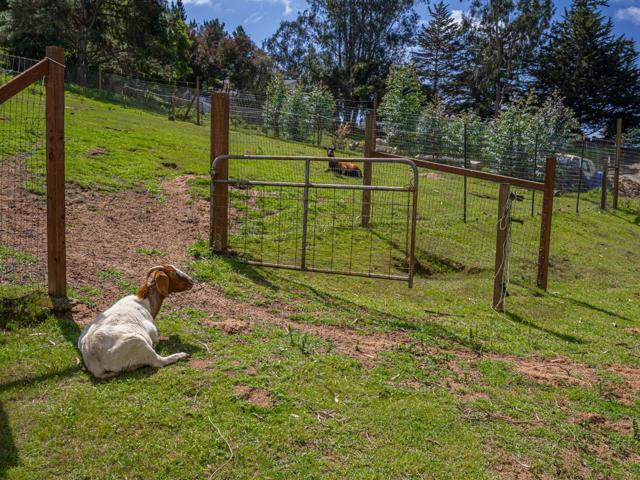Image 79 of 82 For 20150 Tarawild Court