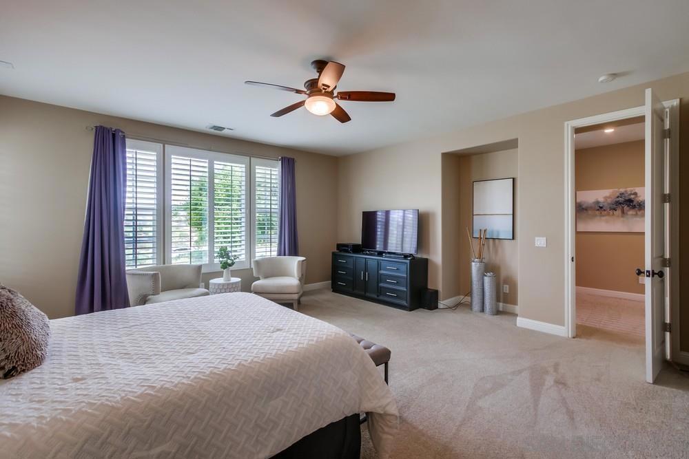 MLS #250025773SD img 29