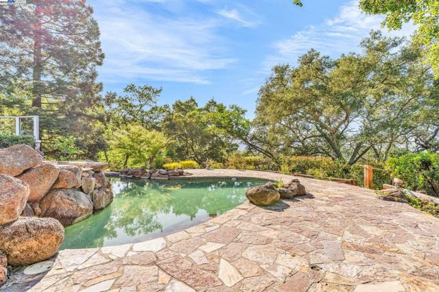 219 Valley Oaks Dr, Alamo CA: https://media.crmls.org/mediaz/6a974c79-0dab-4c98-b01e-23f2f2d4ffd5.jpg
