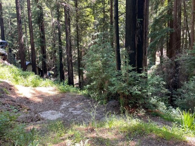 506 Sunset Road, Boulder Creek CA: https://media.crmls.org/mediaz/6a9c8c45-85d0-4434-bb39-5c9df1ce8a00.jpg