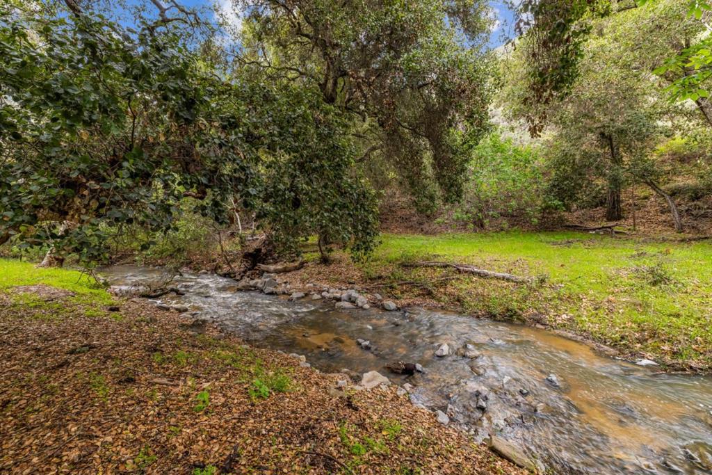 MLS #ML81999097 image #15