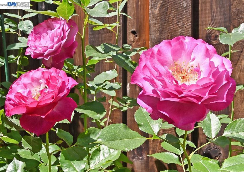 https://media.crmls.org/mediaz/6aaf3133-4c38-48b3-a722-908602e7e702.jpg?preset=X-Large