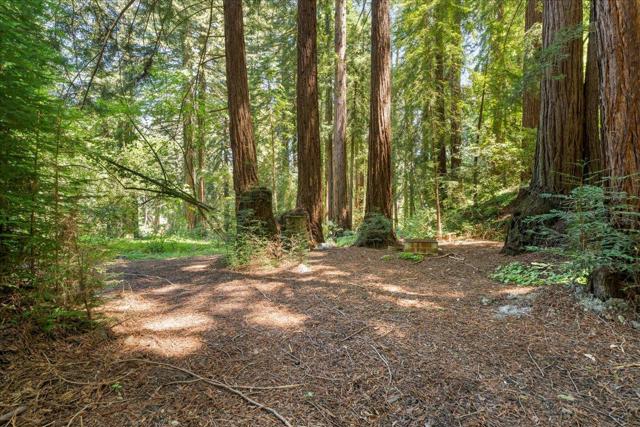 0 Grove Street, Los Gatos CA: https://media.crmls.org/mediaz/6ab084fc-20b7-4fc6-a7d2-fdeab23eb269.jpg