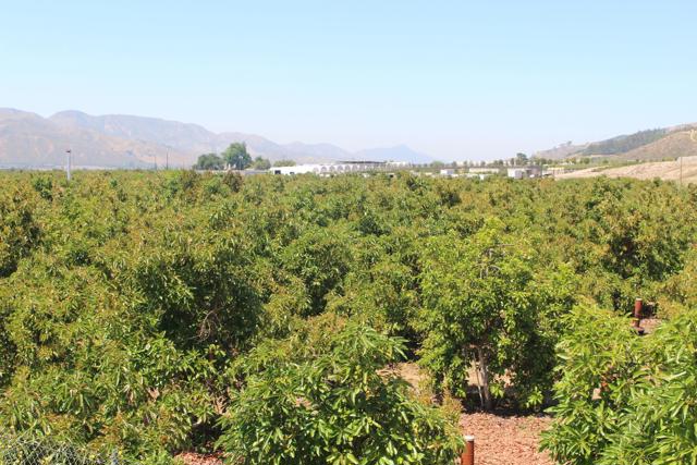 Detail Gallery Image 13 of 33 For 0 Camulos St, Piru,  CA 93040 - – Beds | – Baths