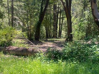 17000 Bear Creek Road, Boulder Creek CA: https://media.crmls.org/mediaz/6abd1b65-2b93-429d-b950-7dd0a130e7a4.jpg