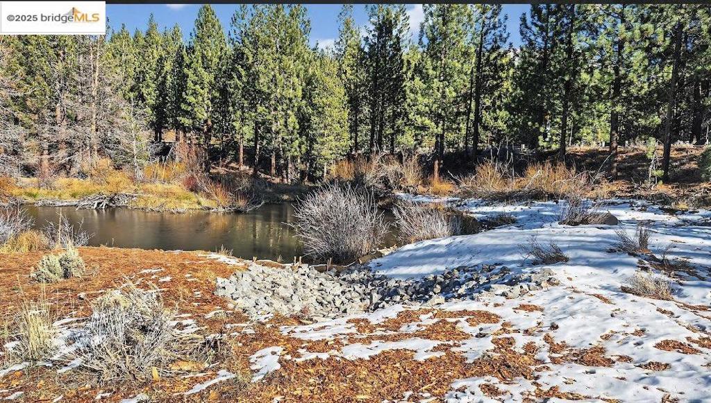 MLS #41118169 image #45