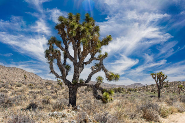 Image 11 of 26 For 101 Hondo Street