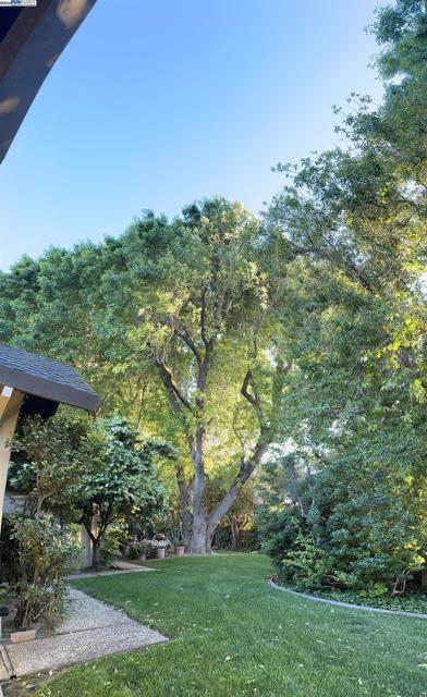 419 Burkhard Rd, Patterson CA: https://media.crmls.org/mediaz/6ac3ea6c-e3d2-4a8a-8467-03d9b21fe7b9.jpg