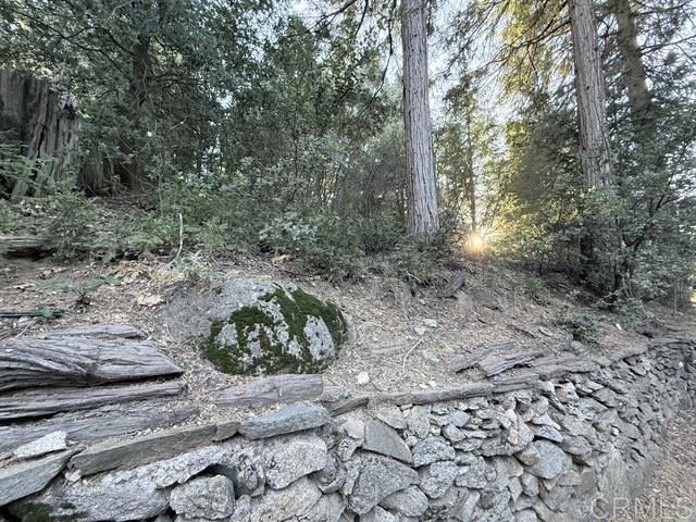 Detail Gallery Image 40 of 42 For 22136 Crestline Rd, Palomar Mountain,  CA 92060 - 1 Beds | 1/1 Baths