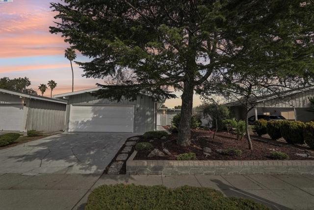 1145 Rosewood Way, Alameda, California 94501, 4 Bedrooms Bedrooms, ,2 BathroomsBathrooms,Single Family Residence,For Sale,Rosewood Way,41085963