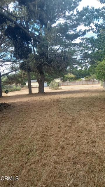 596 S Sanderson Way, Fort Bragg CA: https://media.crmls.org/mediaz/6ad6256a-7dda-45df-96ed-23eb88cc1ec5.jpg