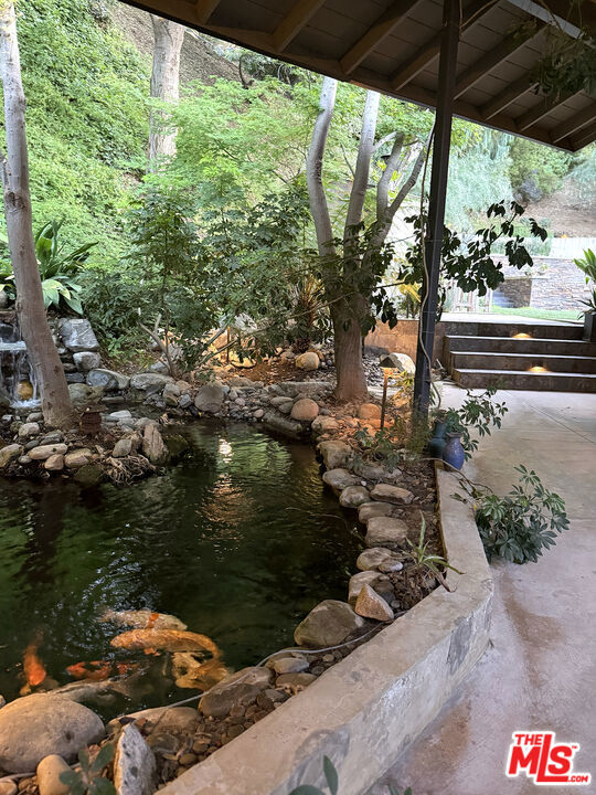 Rear Yard Koi Pond