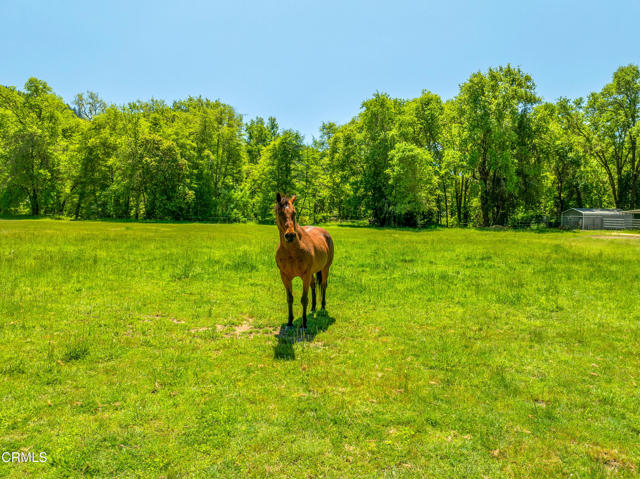 3901 Canyon Road, Willits CA: https://media.crmls.org/mediaz/6adabad2-e229-4a7a-8b0f-8fcc4c32416f.jpg