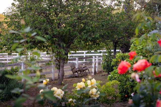 15017 Skyridge Road, Poway CA: https://media.crmls.org/mediaz/6add0ce2-b4d9-4ae4-9bcc-d7526f6ff297.jpg