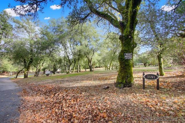 3591 Deer lake Park Rd, Julian CA: https://media.crmls.org/mediaz/6add2a65-094d-499a-bc76-406d8f04ef5c.jpg
