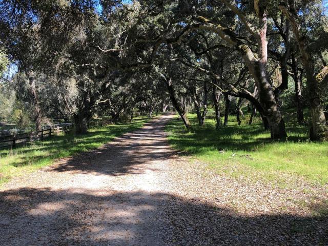 0 Creek Ranch, Carmel Valley Road, Carmel Valley CA: https://media.crmls.org/mediaz/6ae7a56e-f986-4f9b-8003-ba461d548f28.jpg