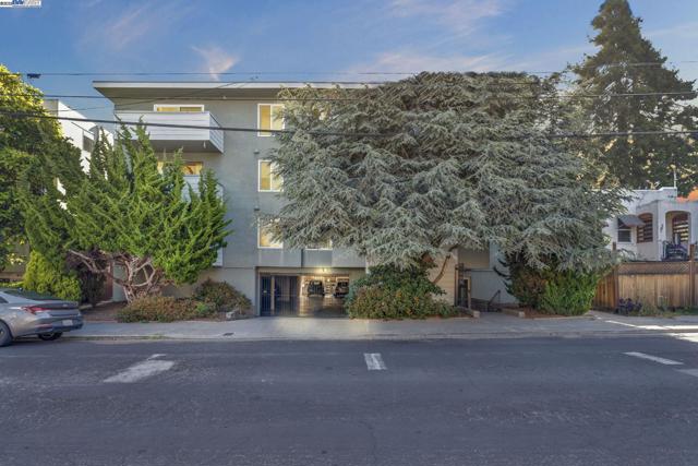 415 Cornell Ave, Albany CA: https://media.crmls.org/mediaz/6aed42ce-de12-40dd-9959-aa334eef98cc.jpg