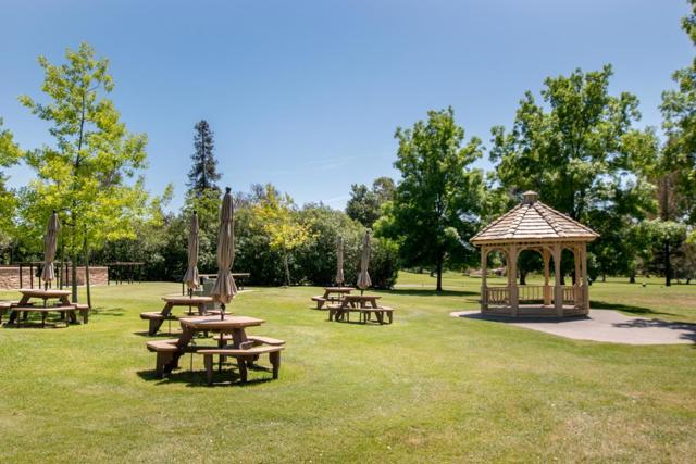 8442 Chenin Blanc Lane, San Jose CA: https://media.crmls.org/mediaz/6af87759-50cf-44a5-9aaf-70b926bea709.jpg