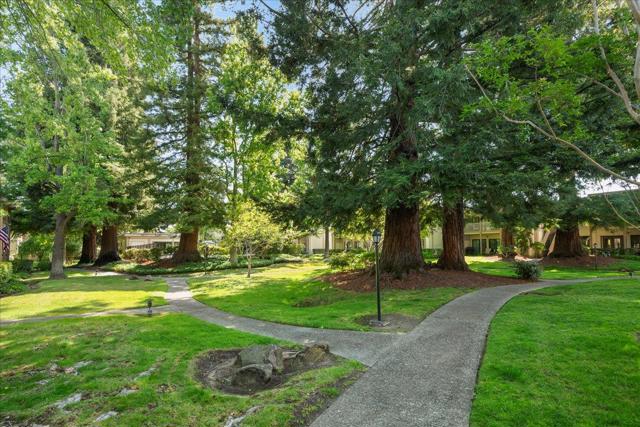 50 Horgan Avenue, Redwood City CA: https://media.crmls.org/mediaz/6b0145be-6780-4a44-8751-8f405bd2a7f0.jpg