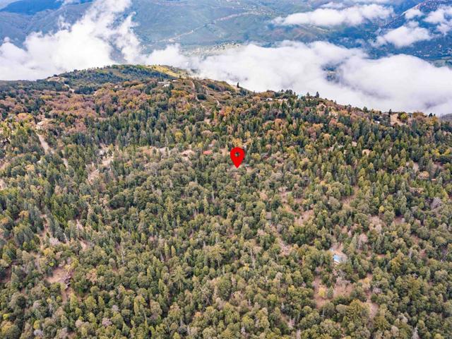 Detail Gallery Image 36 of 36 For 21932 Crestline Rd, Palomar Mountain,  CA 92060 - 1 Beds | 1 Baths