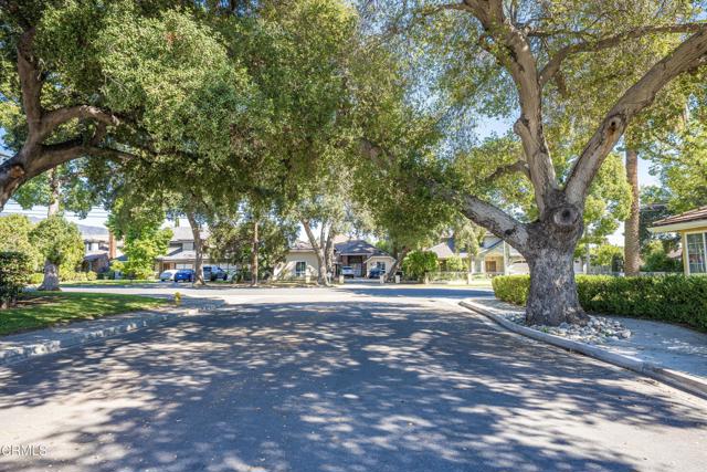 Detail Gallery Image 3 of 26 For 725 Tiffany Ter, Arcadia,  CA 91006 - 4 Beds | 3 Baths