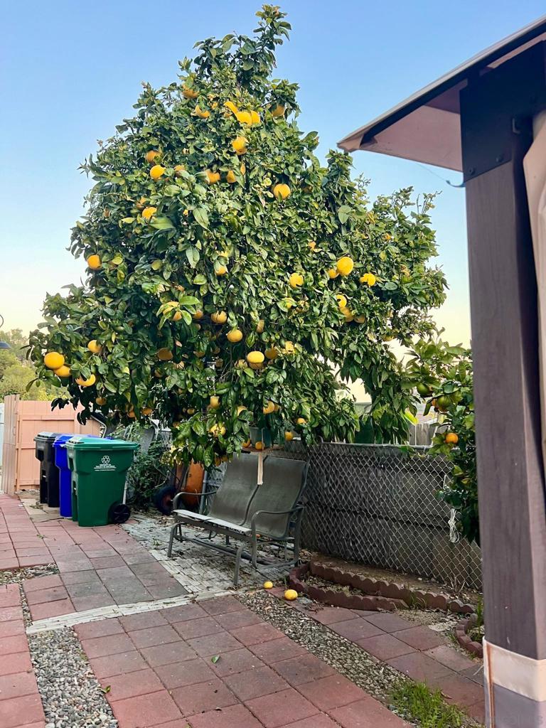 https://media.crmls.org/mediaz/6b0873c4-14d3-4f44-9c2a-d2a29a086ac7.jpg?preset=X-Large