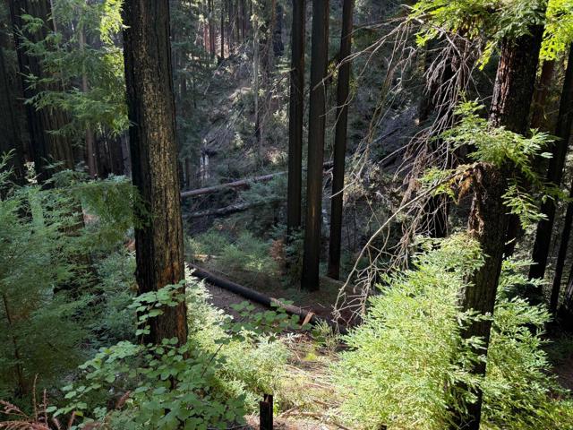 449 Band Road, Boulder Creek CA: https://media.crmls.org/mediaz/6b0b6913-873d-451a-8ce1-4884c960c267.jpg