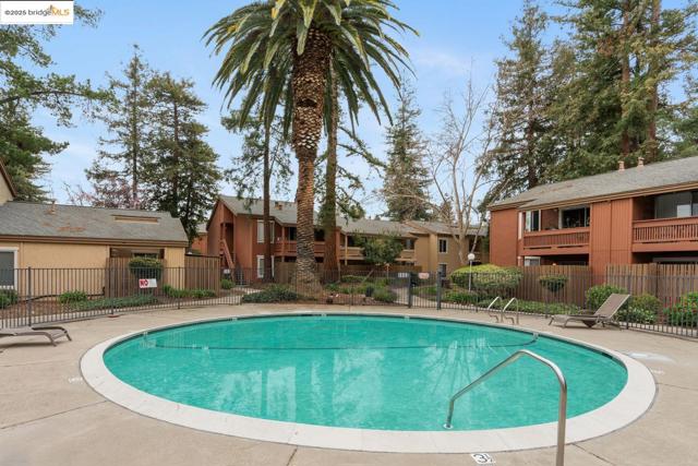 3055 TREAT BLVD, Concord CA: https://media.crmls.org/mediaz/6b0ed753-2553-47c6-82d4-6a8dd0c57612.jpg