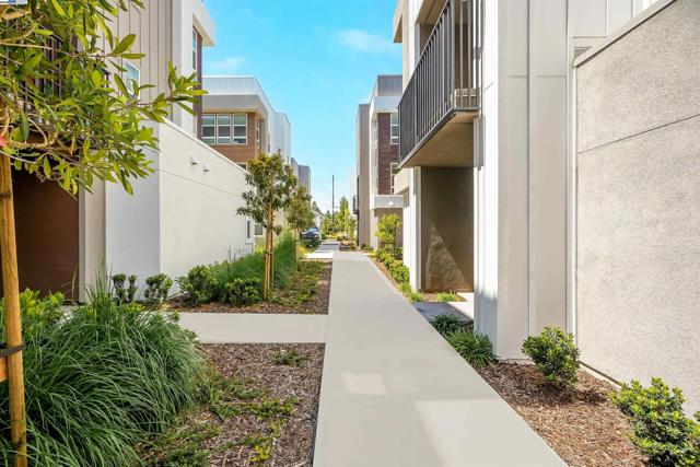 2119 Stanford Street, Alameda CA: https://media.crmls.org/mediaz/6b1651cb-e9e7-4859-b43a-2455d86febf2.jpg