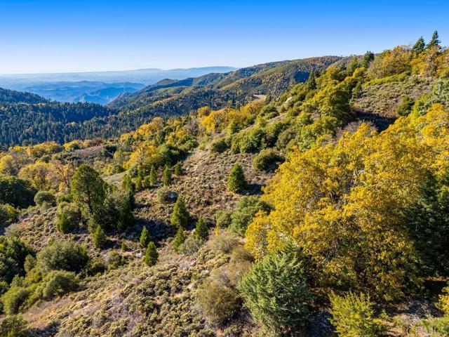 Detail Gallery Image 22 of 33 For 0 State Park Rd, Palomar Mountain,  CA 92060 - – Beds | – Baths