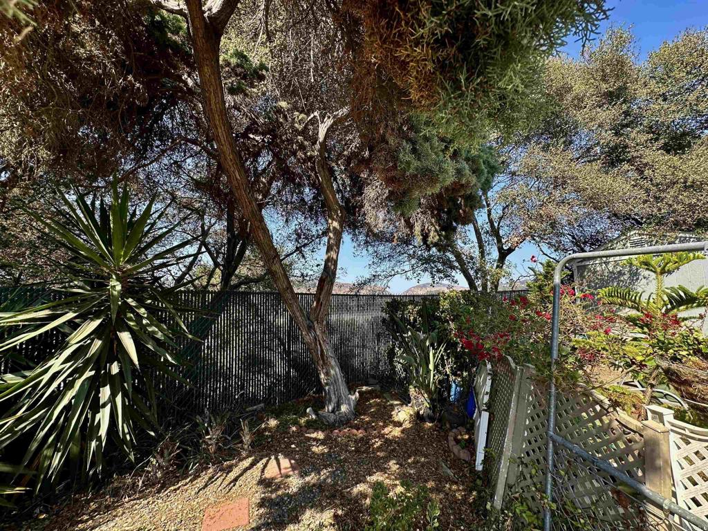 4808 Old Cliffs Road - photo 19