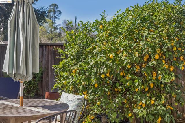 Image 47 of 49 For 548 Gabriel Ct