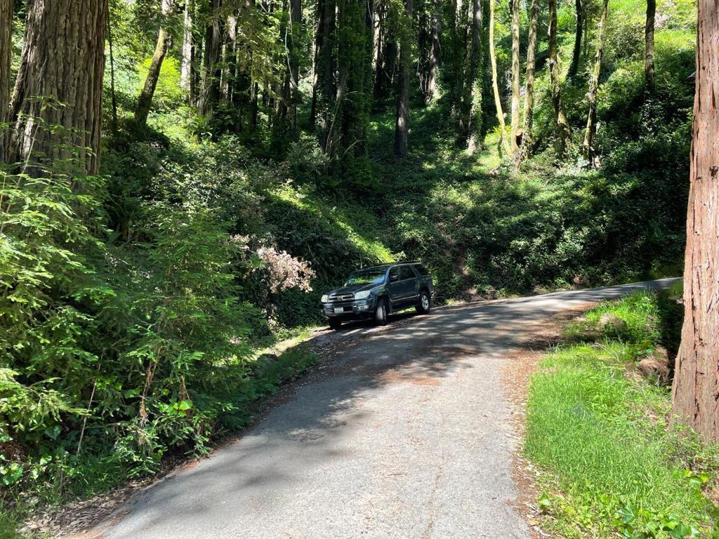 MLS #ML81979482 image #19