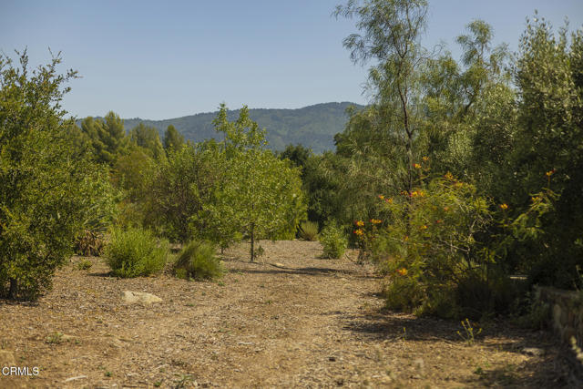 Detail Gallery Image 10 of 13 For 1 Henderson Rd, Ojai,  CA 93023 - – Beds | – Baths