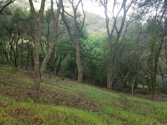 12 Vista Del Orinda, Orinda CA: https://media.crmls.org/mediaz/6b393074-bac5-461f-9e79-78aa77f57ac4.jpg