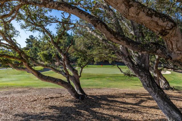 25520 Via Malpaso (Lot 92), Carmel CA: https://media.crmls.org/mediaz/6b487fa6-0f56-4e17-978a-553f639767c2.jpg