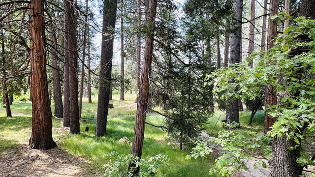 53341 Sherman Drive, Idyllwild CA: https://media.crmls.org/mediaz/6b4c1180-79fd-45e2-bb49-ebc9a45f4c09.jpg