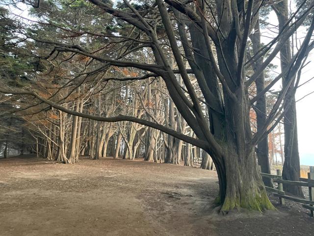 855 Sierra Street, Moss Beach CA: https://media.crmls.org/mediaz/6b4ce5cc-efc6-46a5-b219-1a3d8130d893.jpg