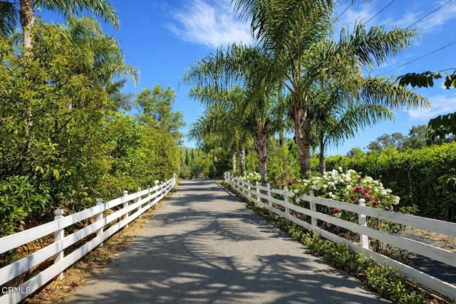 Detail Gallery Image 4 of 39 For 7907 Balcom Canyon Rd, Somis,  CA 93066 - – Beds | – Baths