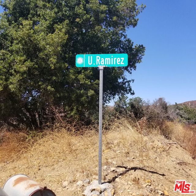 29162 Upper Ramirez Motor Way photo 2