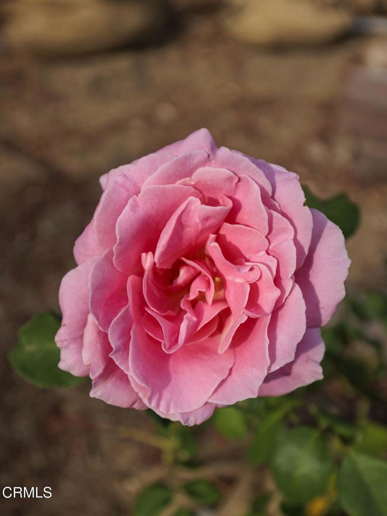 https://media.crmls.org/mediaz/6b595ce2-91d7-4211-b80a-21cca1baf894.jpg?preset=X-Large