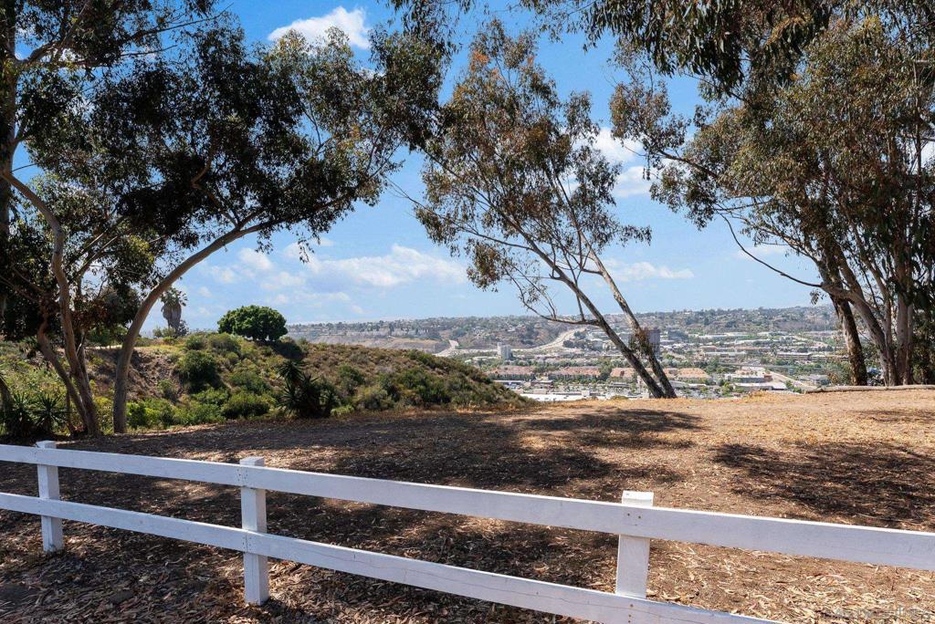 MLS #250036205SD image #36