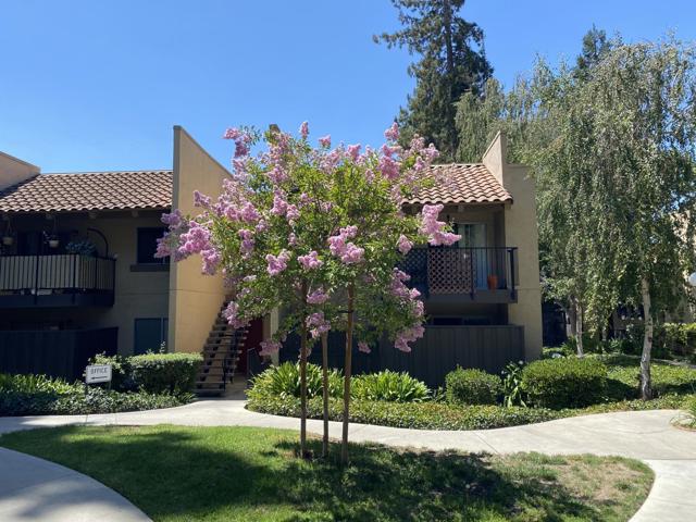 259 N Capitol Avenue, San Jose CA: https://media.crmls.org/mediaz/6b5a8ee4-e327-414c-bca2-578c711f4a8f.jpg
