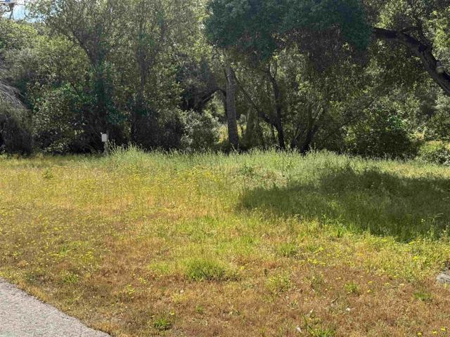 2950 Niles Canyon Rd, Castro Valley CA: https://media.crmls.org/mediaz/6b6f1c4a-bc65-4791-acce-a89065f4facf.jpg